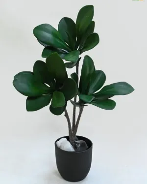 Artificial Kalanchoe Pick Short Ornamental Plant With Black Pot | 28 Dark Green Leaves | 2 feet