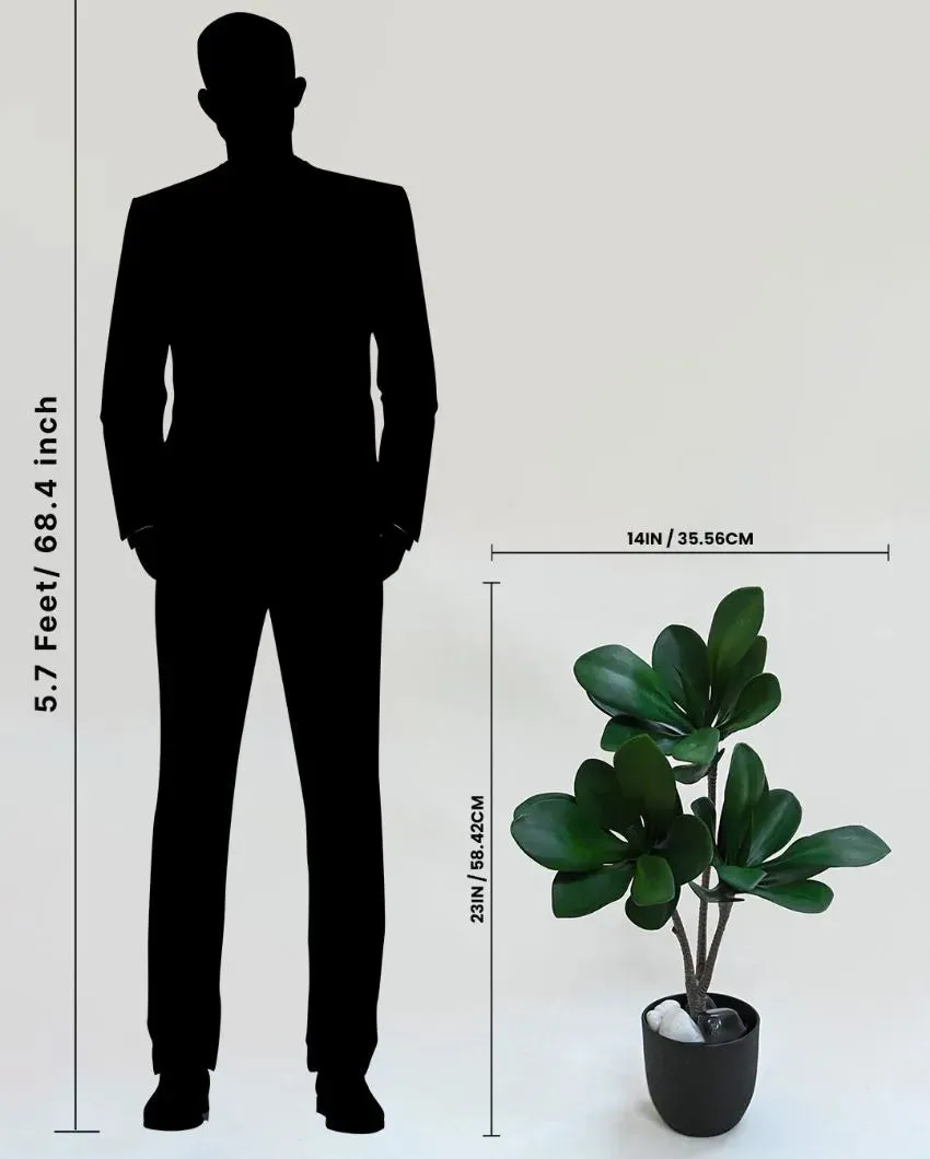 Artificial Kalanchoe Pick Short Ornamental Plant With Black Pot | 28 Dark Green Leaves | 2 feet