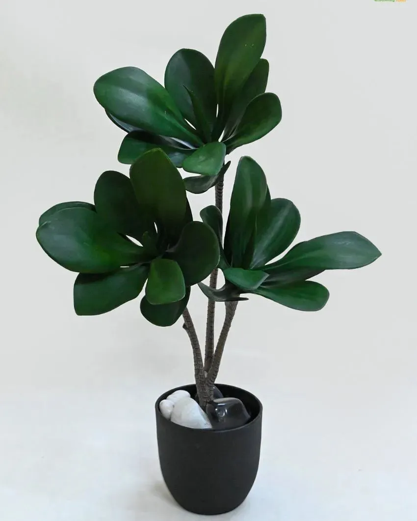 Artificial Kalanchoe Pick Short Ornamental Plant With Black Pot | 28 Dark Green Leaves | 2 feet