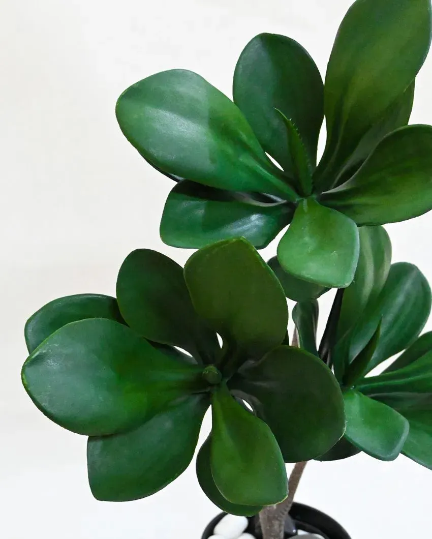 Artificial Kalanchoe Pick Short Ornamental Plant With Black Pot | 28 Dark Green Leaves | 2 feet