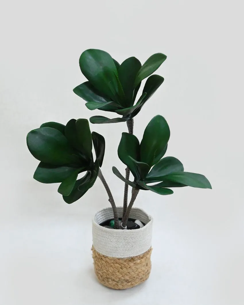 Artificial Kalanchoe Pick Short Ornamental Plant With Black Pot | 28 Dark Green Leaves | 2 feet