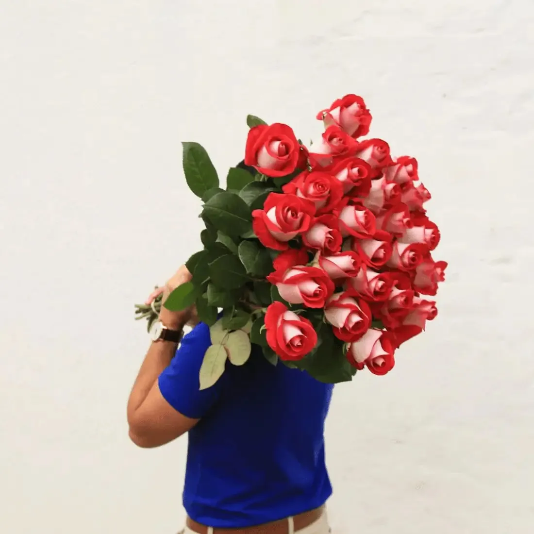 Long Stem White Explosion Roses  | Harvested Fresh 24 Inches