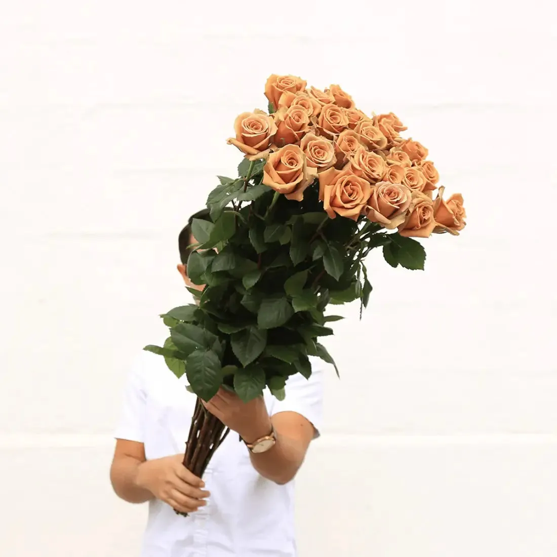 Long Stem White Explosion Roses  | Harvested Fresh 24 Inches