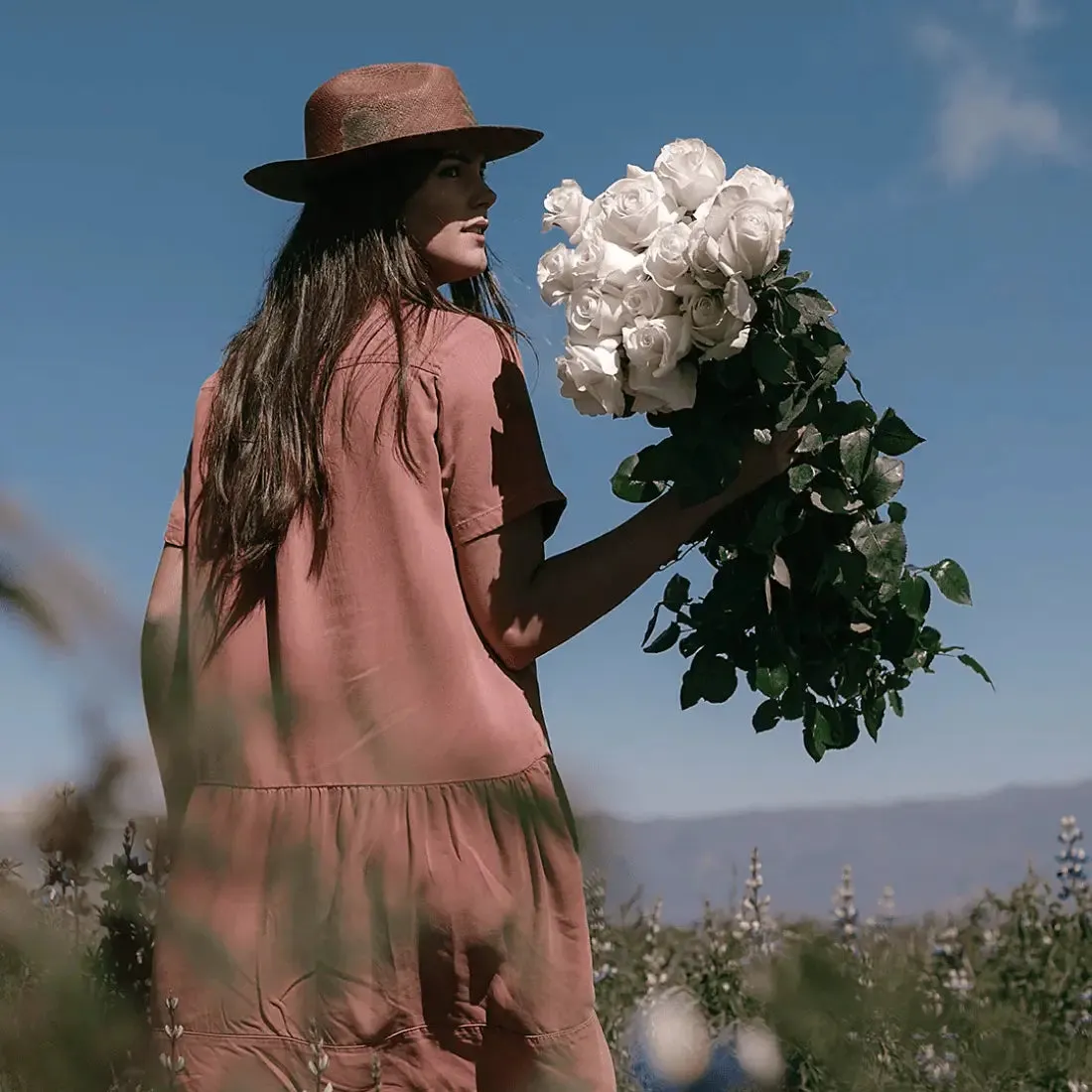 Long Stem White Explosion Roses  | Harvested Fresh 24 Inches