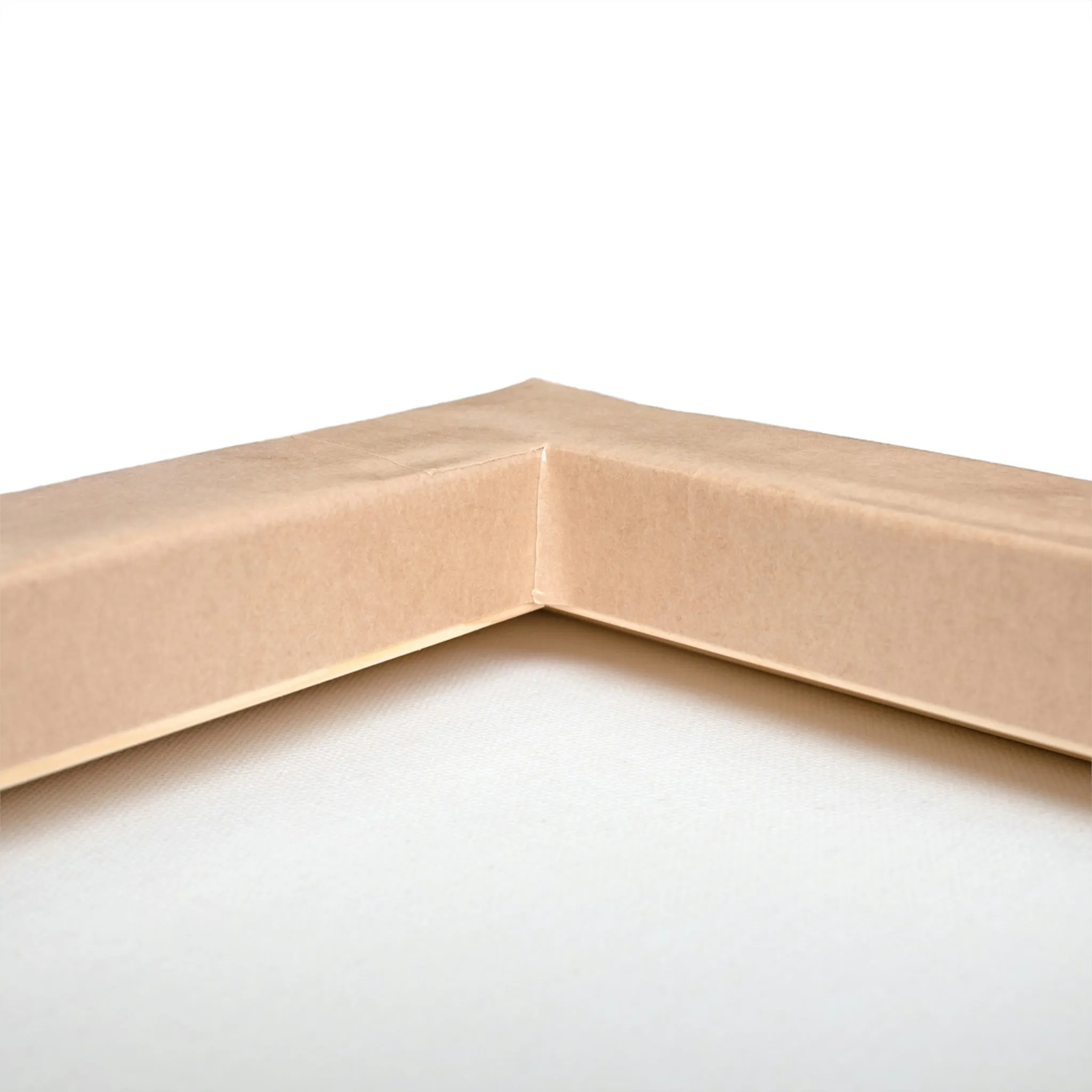 Toxcana Stretched Canvas